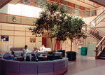 Interior of Communication and Information Sciences building on USF Tampa campus