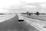 View down Fowler Avenue entrance, 1960 by University of South Florida