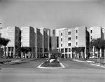 H. Lee Moffitt Cancer Center and Research Institute, c.1986