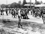 Student demonstration on Fowler Avenue by University of South Florida