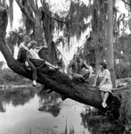Students at Riverfront Park, 1963 by University of South Florida