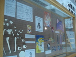 Exhibit Photos, Anime Invasion, Summer 2012, P by Candis Buffington