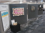 Exhibit Photos, Art Heals: Annual Exhibit, May 2015, B by Suncoast Center, Inc.; Florida Craftsmen; and James Anthony Schnur