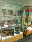 Exhibit Photos, Gaming Display, July-August 2014, AD by Camielle Crampsie and Chris Crampsie