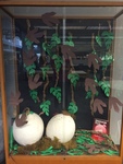 Exhibit Photos, Jurassic Park and World, Summer 2015, D by Angela Hood, Camielle Crampsie, and LeAnna Kiggins