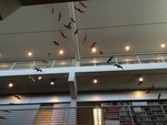 Exhibit Photos, Jurassic Park and World, Summer 2015, F by Angela Hood, Camielle Crampsie, and LeAnna Kiggins