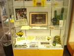 Exhibit Photos, Looking Back 50 Years: Memorabilia from USF St. Petersburg Since Our Early Days, August-October 2015, E by James Anthony Schnur