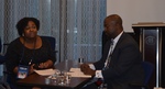 Tiffany Harris and Omar Salaam Present at 2014 University Council for Education Annual Convention, Washington, D.C., A by Charles Vanover, Tiffany Harris, Omar J. Salaam, and Roderick Jones