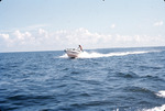 Motorboat with wake in open water by University of South Florida