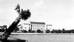 1919 St. Petersburg High School seen from Mirror Lake, leaning palm tree