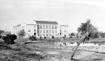 1919 St. Petersburg High School seen from Mirror Lake, leaning palm tree by Francis G. Wagner and Nelson Poynter Memorial Library