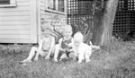 Betty, Dick, and Bud sitting in grass outside house in front of lattice wall by Francis G. Wagner and Nelson Poynter Memorial Library