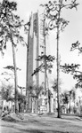 Bok Tower under construction, with fence and sign, "Hands off this lumber", man standing next to tower, tall trees