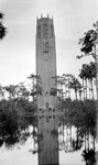 Bok Tower, trees, and reflection in lake, people standing outside