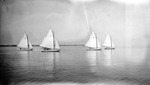 Four sailboats and passengers on Tampa Bay by Francis G. Wagner and Nelson Poynter Memorial Library