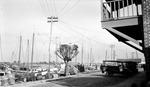 Crowded dock in Tarpon Springs; boats, barrels, brick building with balcony, people, cars including one saying "Tarpon to Sponge Exchange 5 cents" by Francis G. Wagner and Nelson Poynter Memorial Library