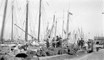 Crowded dock in Tarpon Springs; boats, barrels, men, large sponges that resemble rocks by Francis G. Wagner and Nelson Poynter Memorial Library