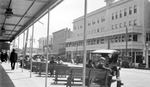 Line of benches on Central Avenue, people seated and walking. Also cars, hotel, signs for Baker Bros. and C.M. Roser (between 6th and 7th Street) by Francis G. Wagner and Nelson Poynter Memorial Library