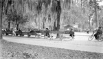 Park. People sitting on benches marked N.W.S. watching a game of croque; thick, lush line of trees with abundant Spanish moss, hex blocks, bicycle by Francis G. Wagner and Nelson Poynter Memorial Library