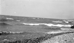 Land and water: waves coming toward a rocky beach by Francis G. Wagner and Nelson Poynter Memorial Library