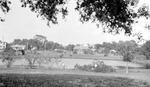 Lake surrounded by man on bicycle, houses, car, gazebo, grass by Francis G. Wagner and Nelson Poynter Memorial Library