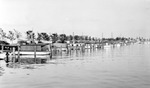 Pier with Spa, many cars, powerlines, boats docked by Francis G. Wagner and Nelson Poynter Memorial Library