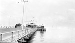 Pier with powerlines, people, shelter at end with a shed on each side, cars, bicycles, boats in water at side by Francis G. Wagner and Nelson Poynter Memorial Library