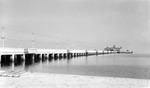 Million Dollar Pier from shore by Francis G. Wagner and Nelson Poynter Memorial Library