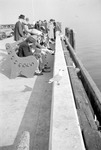 Pier life; people on benches; by Francis G. Wagner and Nelson Poynter Memorial Library