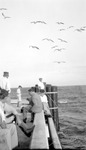 Men and boy fishing from end of pier, birds overhead by Francis G. Wagner and Nelson Poynter Memorial Library