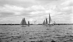 Several sailboats and passengers on Tampa Bay, land in background by Francis G. Wagner and Nelson Poynter Memorial Library