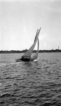 Sailboat and passenger in Tampa Bay, land on background by Francis G. Wagner and Nelson Poynter Memorial Library