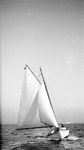 Sailboat and passengers on Tampa Bay, other boat in background by Francis G. Wagner and Nelson Poynter Memorial Library