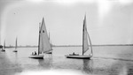 Several sailboats and passengers on Tampa Bay by Francis G. Wagner and Nelson Poynter Memorial Library