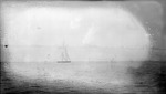 Sailboat on Tampa Bay by Francis G. Wagner and Nelson Poynter Memorial Library