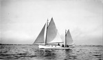 Sailboat and passengers on Tampa Bay with land and possibly blimp in background by Francis G. Wagner and Nelson Poynter Memorial Library