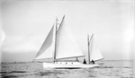 Sailboat and passengers on Tampa Bay with land and blimp in background by Francis G. Wagner and Nelson Poynter Memorial Library
