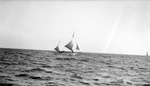 Sailboat and passengers on Tampa Bay with buoy at side by Francis G. Wagner and Nelson Poynter Memorial Library