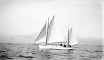 Sailboat and passengers in Tampa Bay with land and smokestack in background by Francis G. Wagner and Nelson Poynter Memorial Library