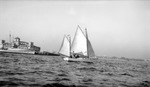 Sailboat (named Marelen II) and passengers with Million Dollar Pier, Coast Guard vessel, and St. Petersburg coastline including Soreno and Vinoy by Francis G. Wagner and Nelson Poynter Memorial Library