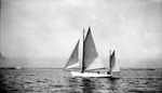 Sailboat and passengers on Tampa Bay with land in background by Francis G. Wagner and Nelson Poynter Memorial Library
