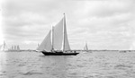Sailboat on Tampa Bay, other boats and land in background by Francis G. Wagner and Nelson Poynter Memorial Library