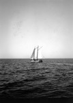 Sailboat and passengers on Tampa Bay by Francis G. Wagner and Nelson Poynter Memorial Library