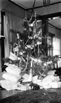 Interior: Christmas tree with presents underneath. 556 19th Avenue NE by Francis G. Wagner and Nelson Poynter Memorial Library