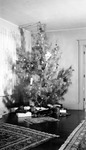 Interior: Christmas tree with presents underneath. Oriental rugs. 556 19th Avenue NE by Francis G. Wagner and Nelson Poynter Memorial Library