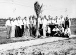 Large group of men planting tree by side of road by Francis G. Wagner and Nelson Poynter Memorial Library