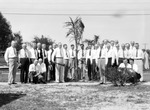 Large group of men planting tree by side of road with a car parked in background by Francis G. Wagner and Nelson Poynter Memorial Library
