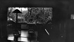 Looking from house into porch with wicker chairs and table, floor lamp, bird on hanging perch by Francis G. Wagner and Nelson Poynter Memorial Library