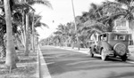 Unknown house, cars driving on paved street lined with palm trees past large two or three-story house with many rectangular windows, light strung across middle of street by Francis G. Wagner and Nelson Poynter Memorial Library