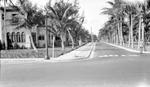 Unknown house, paved street lined with palm trees, large two-story house with many arched windows, tall streetlight on pole,"STOP" painted on road, man standing at side with back to camera, car in distance by Francis G. Wagner and Nelson Poynter Memorial Library